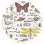 Picture of INSECT CIRCLE II BRIGHT