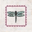 Picture of DRAGONFLY STAMP BRIGHT