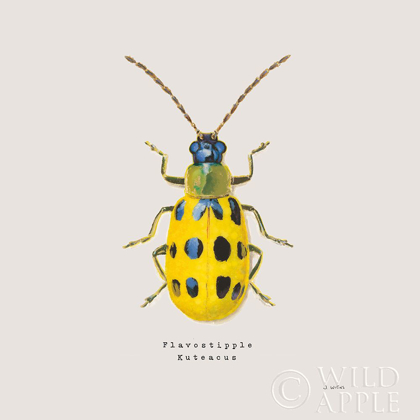 Picture of ADORNING COLEOPTERA VII SQ GOLDEN