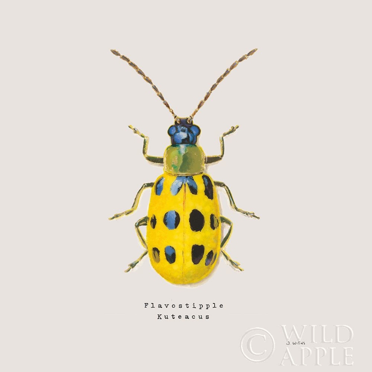 Picture of ADORNING COLEOPTERA VII SQ GOLDEN