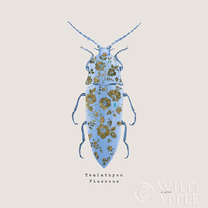 Picture of ADORNING COLEOPTERA VIII SQ BLUE