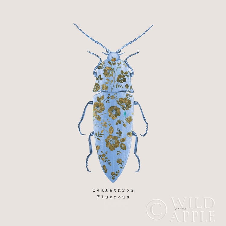 Picture of ADORNING COLEOPTERA VIII SQ BLUE