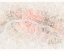 Picture of WATERCOLOR WANDERLUST PARIS BLUSH CROP