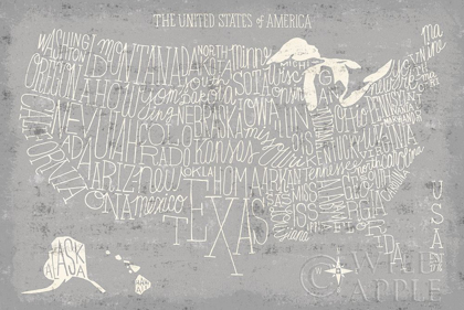 Picture of HAND LETTERED USA MAP GRAY