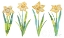 Picture of SPRING HAS SPRUNG VII