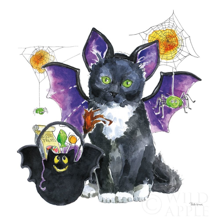 Picture of HALLOWEEN PETS VI