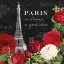 Picture of ROUGE PARIS II BLACK