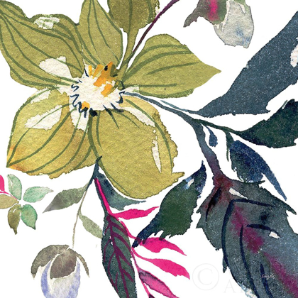 Picture of HELLEBORE YA DOING I