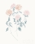 Picture of FLOWERS ON WHITE VI CONTEMPORARY