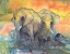Picture of ELEPHANTS CROP