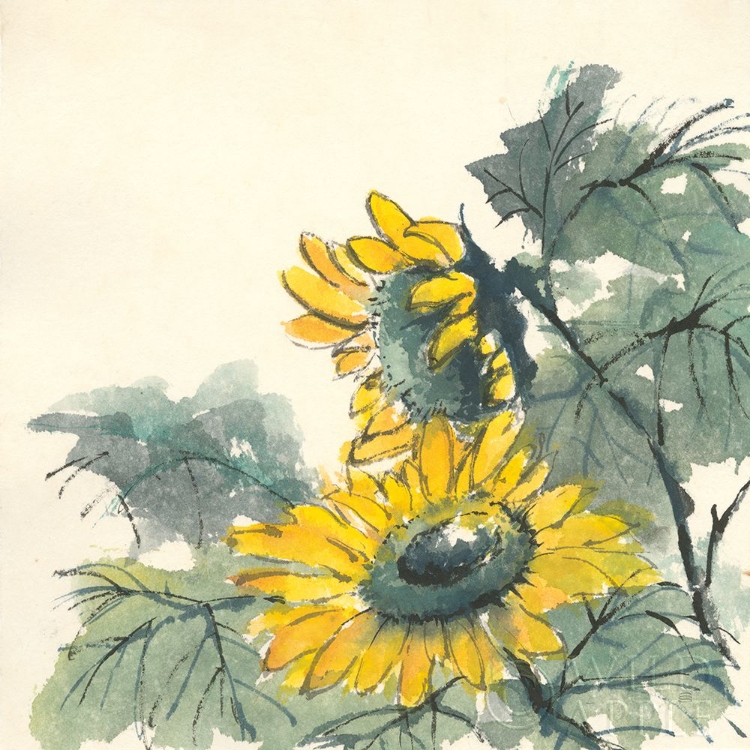 Picture of SUNFLOWER II