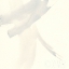 Picture of ZEN II