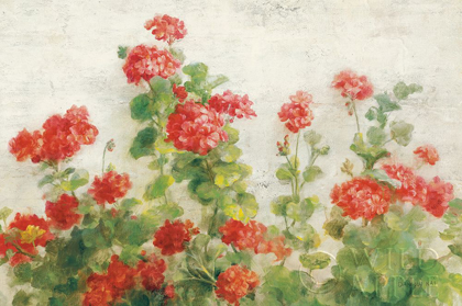 Picture of RED GERANIUMS ON WHITE V2