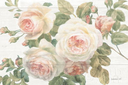 Picture of VINTAGE ROSES WHITE ON SHIPLAP CROP