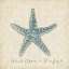 Picture of BEACH TREASURES II CHRISTMAS