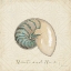 Picture of BEACH TREASURES III CHRISTMAS
