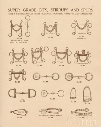 Picture of EQUINE RIDING GEAR I V2