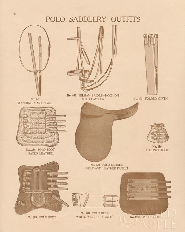 Picture of EQUINE RIDING GEAR II V2