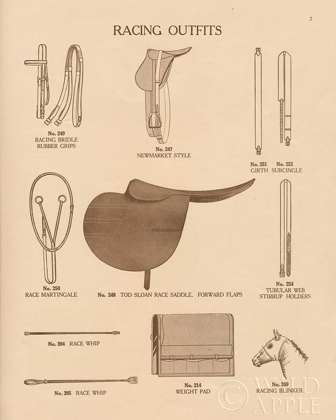 Picture of EQUINE RIDING GEAR III V2