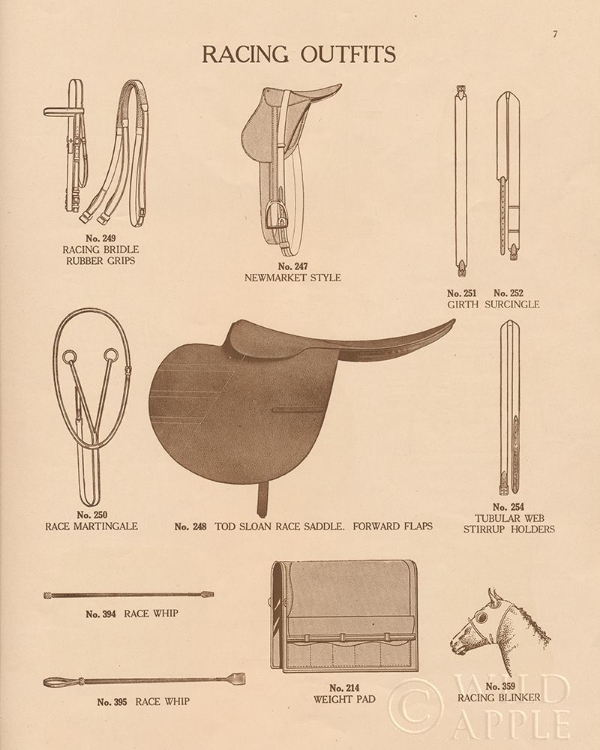 Picture of EQUINE RIDING GEAR III V2