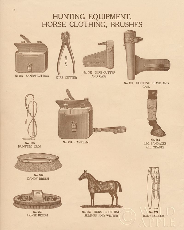 Picture of EQUINE RIDING GEAR IV