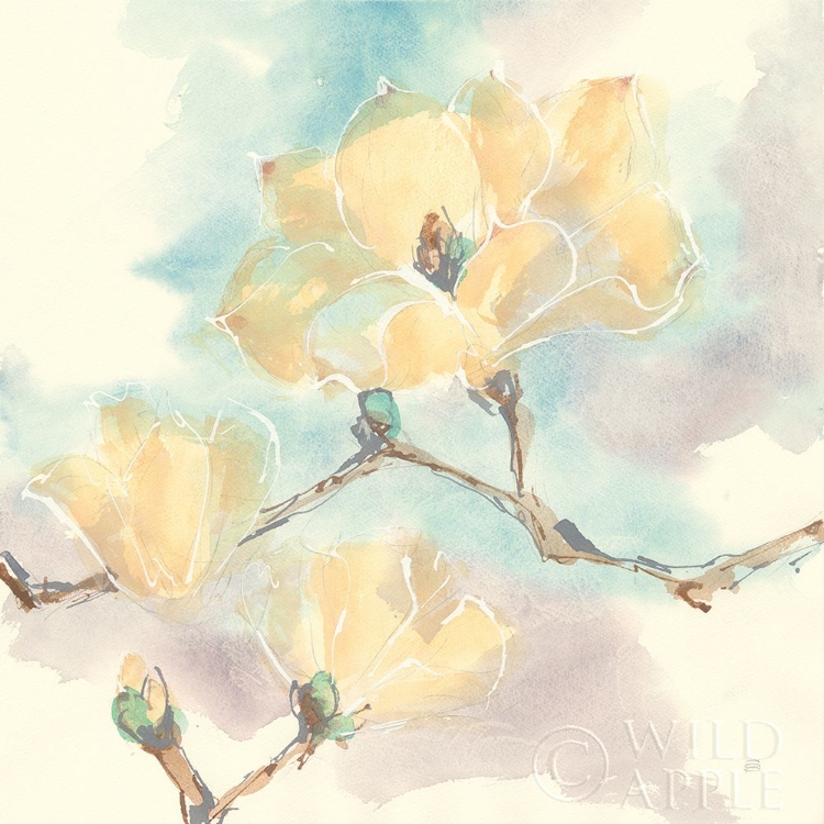 Picture of MAGNOLIAS IN WHITE I