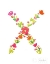 Picture of FLORAL ALPHABET LETTER XXIV