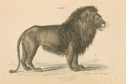 Picture of VINTAGE LION
