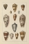 Picture of SHELL ASSORMENT I