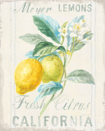 Picture of FLOURSACK LEMON II