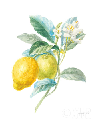 Picture of FLOURSACK LEMON II ON WHITE