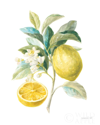 Picture of FLOURSACK LEMON III ON WHITE