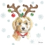 Picture of HOLIDAY PAWS VI