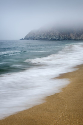 Picture of GRAY WHALE COVE