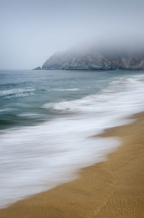Picture of GRAY WHALE COVE