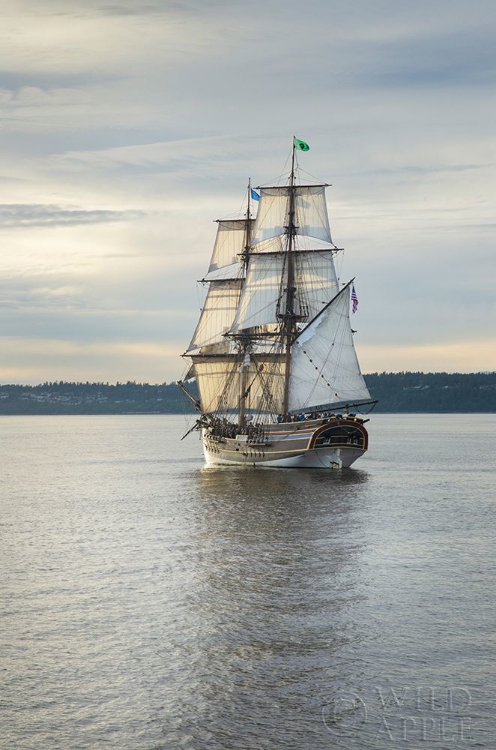 Picture of LADY WASHINGTON I