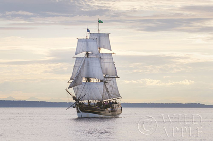 Picture of LADY WASHINGTON II