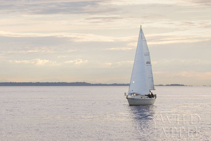 Picture of SAILBOAT IN SEMIAHMOO BAY