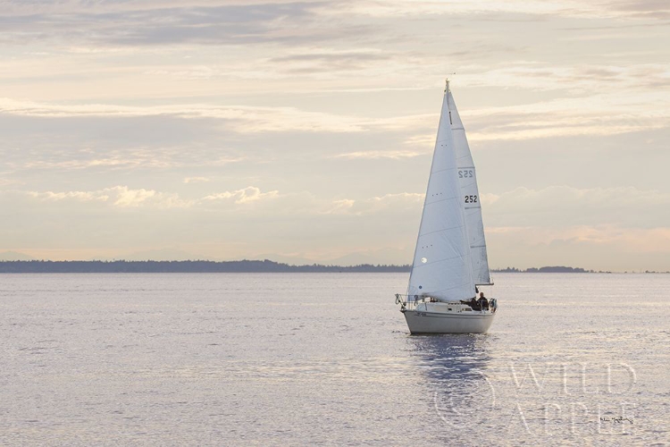 Picture of SAILBOAT IN SEMIAHMOO BAY