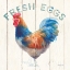 Picture of FRESH EGGS HEN