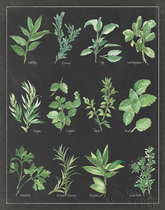 Picture of HERB CHART ON BLACK WHITE BORDER