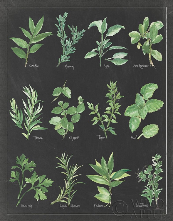 Picture of HERB CHART ON BLACK WHITE BORDER