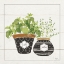 Picture of FINE HERBS V SMILES