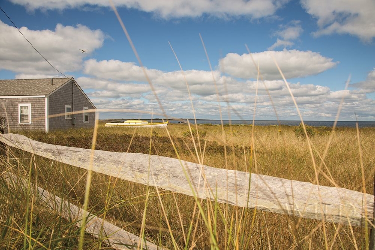 Picture of THE COTTAGE