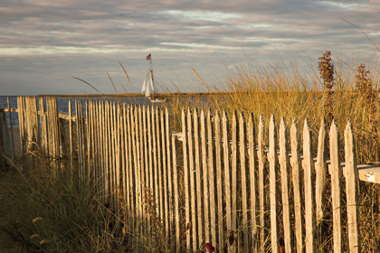 Picture of ALONG THE FENCE I