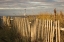 Picture of ALONG THE FENCE I