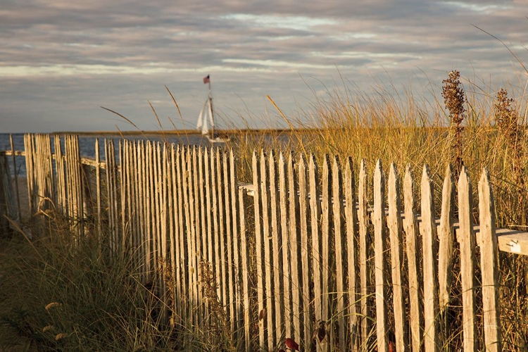 Picture of ALONG THE FENCE I