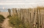 Picture of ALONG THE FENCE II