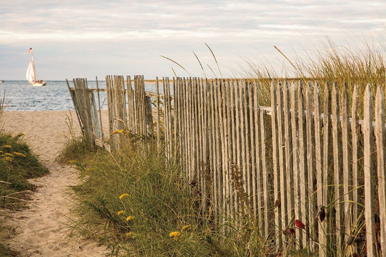 Picture of ALONG THE FENCE II