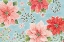 Picture of COUNTRY POINSETTIAS I BLUE